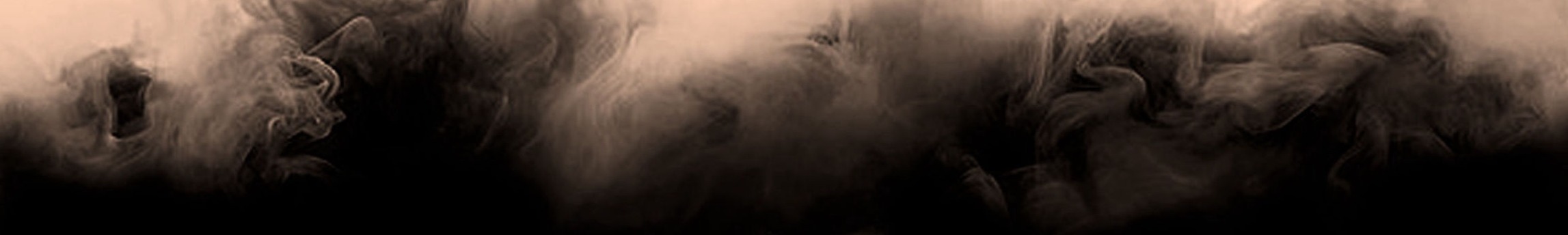 Zentrum für Politische Schönheit