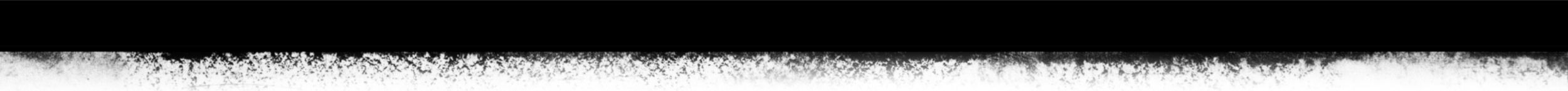 Nationaler Geschichtsrat