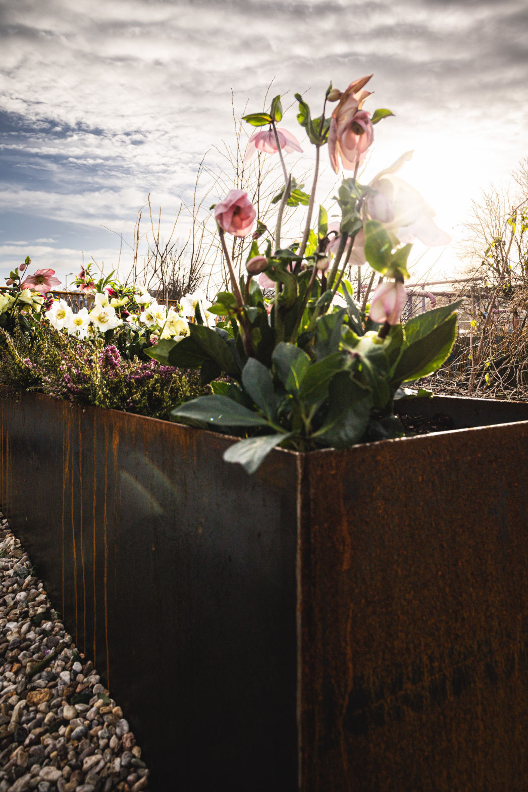 Walter Lübcke Platz