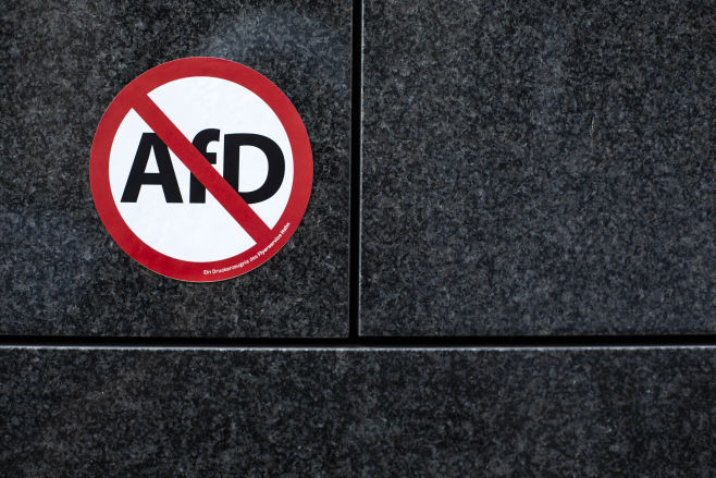 Zentrum für Politische Schönheit: Komplizin werden AfD Verbot